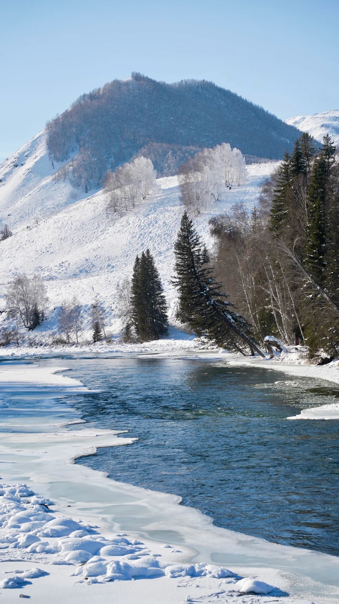 Altay Prefecture cover