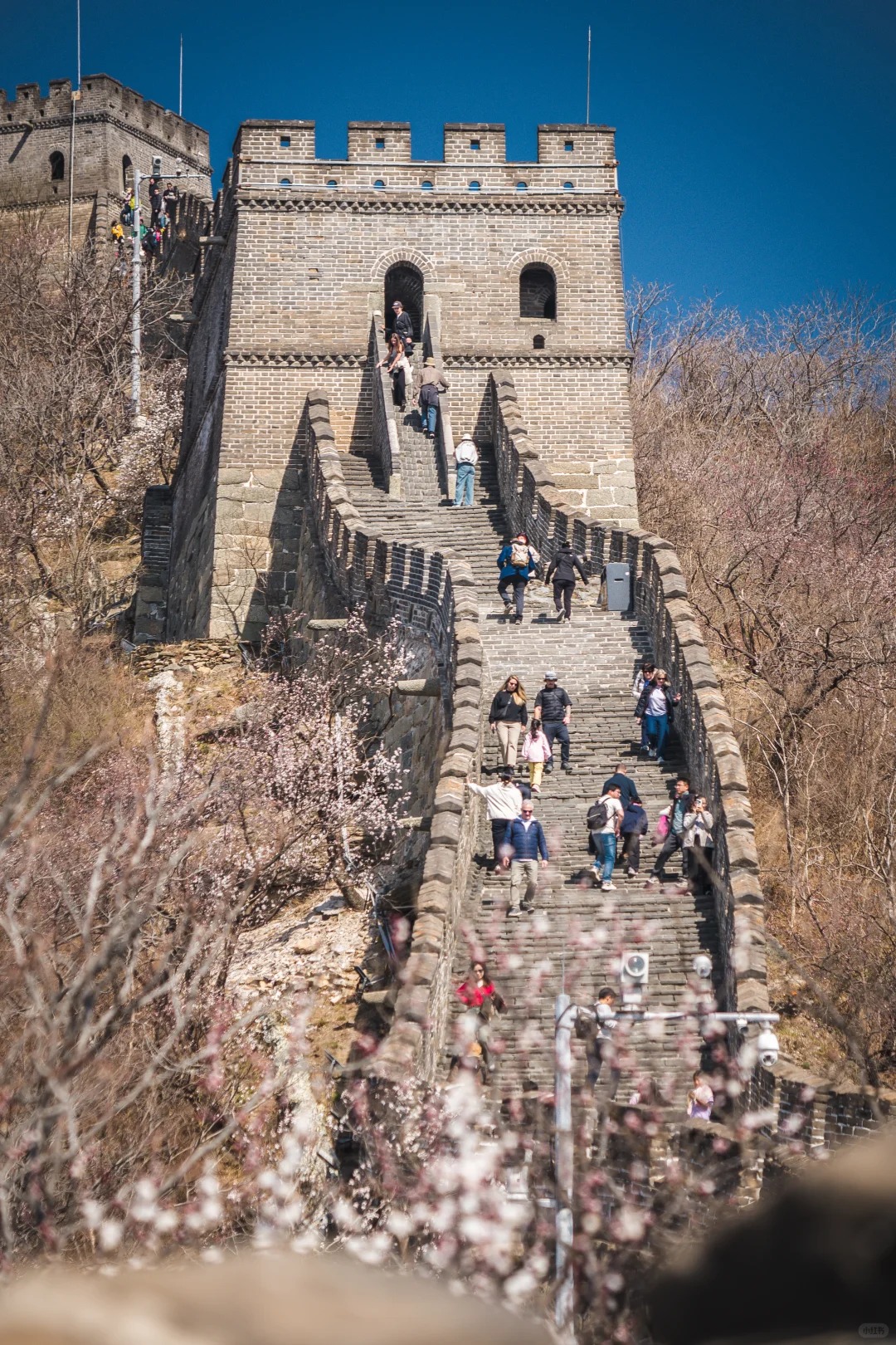 China Starter cover