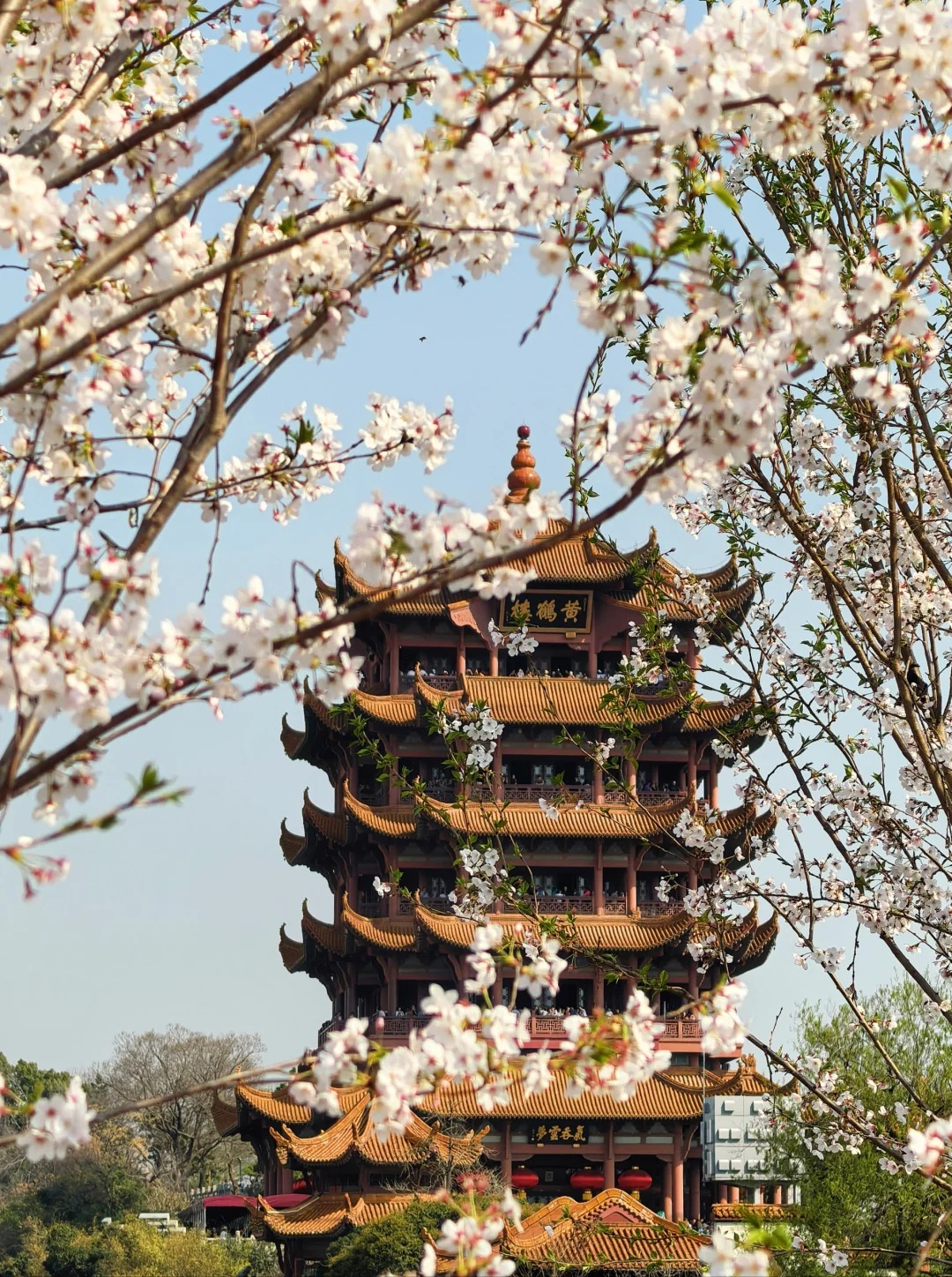 Wuhan gallery 2