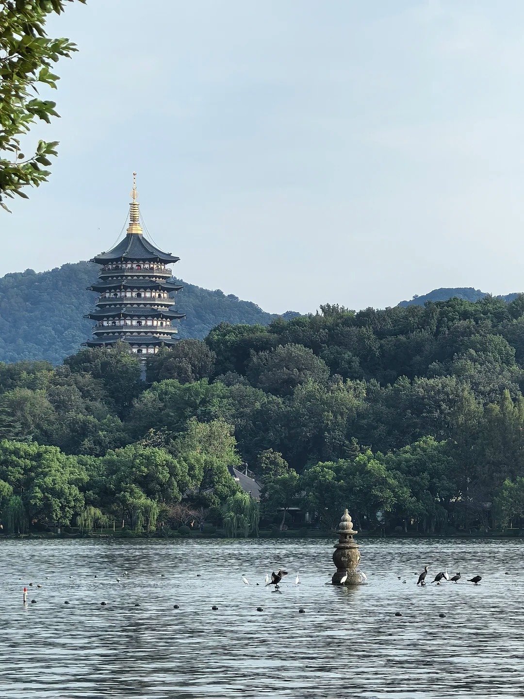 Shanghai Hangzhou Day Trip
