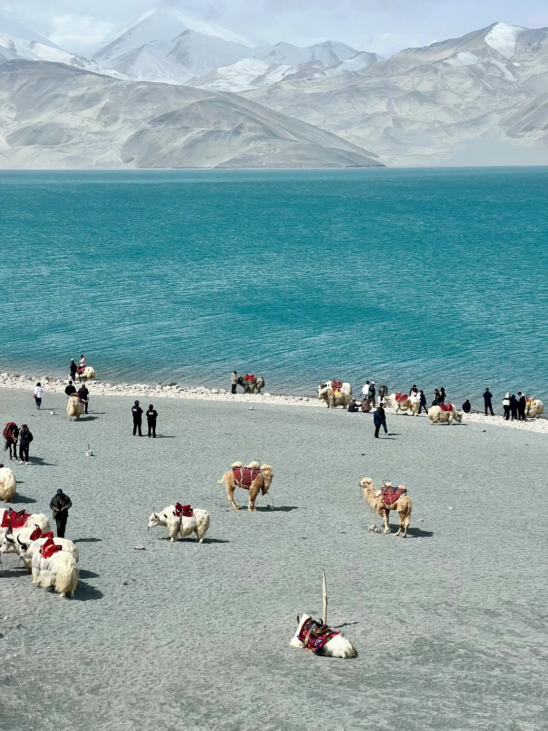 South Xinjiang